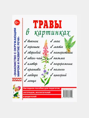 Детский травник, купить по лучшей цене Детский травник, Познавательная и  развивающая литература, продажа Познавательная и развивающая литература,  Книги для детей, Белый город в интернет-магазине детских товаров москва