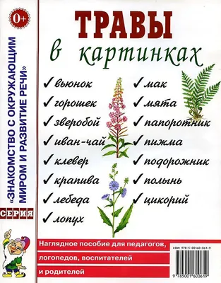 Набор карточек. Травы в картинках. - купить с доставкой по выгодным ценам в  интернет-магазине OZON (718563949)