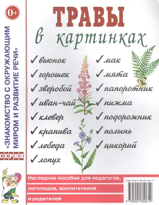 Травы в картинках. Наглядное пособие для логопедов, педагогов, воспитателей  и родителей (Наталья Кулакова) - купить книгу с доставкой в  интернет-магазине «Читай-город». ISBN: 978-5-00-160061-9