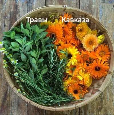 🌱Травы Кавказа🌱 - kocos-sp.ru Совместные закупки косметики.