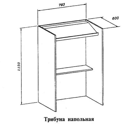 TRIBUNE 2024 | ВКонтакте