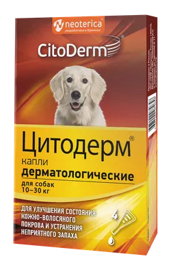 Стригущий лишай у собаки фото признаки и лечение - Как выглядит лишай у  собак (мокнущий, розовый, отрубевидный)