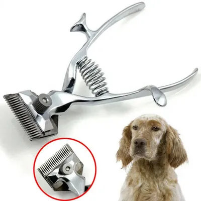 Машинка для Стрижки Собак и Кошек Pet Grooming Hair Clipper Kit Триммер для  Собак, Набор для Груминга (ТОП) — Купить на BIGL.UA ᐉ Удобная Доставка  (1677516727)