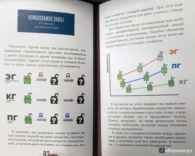 В Россельхознадзоре пообещали скорое возвращение египетских овощей и фруктов