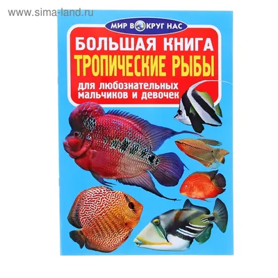 ТРОПИЧЕСКИЕ РЫБЫ – новый альбом о ярких обитателях подводного мира