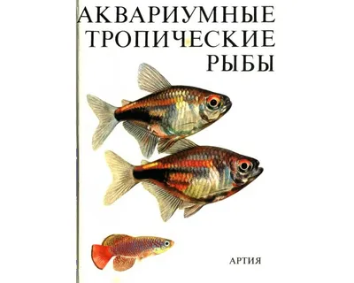 Тропические рыбы, Triggerfish клоуна - Conspicillum Balistoides - море и  океан удят Стоковое Фото - изображение насчитывающей глаз, рыбы: 110331112