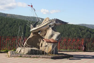 Смотровая площадка \"Царь-рыба\" в Красноярске на экскурсиях от \"Город Сказка\"