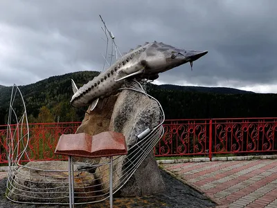 Фото: Царь Рыба, жанровая скульптура, Красноярский край, городской округ  Дивногорск — Яндекс Карты