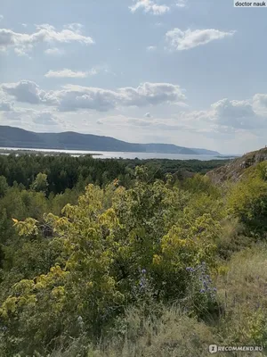 Место Силы Самары. Царев Курган | Анд Рос | Дзен