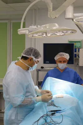 В Оренбурге врачи ЦДХ провели сложную операцию двухдневному ребенку |  Новости Оренбурга