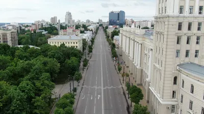 Опустевший центр Воронежа | ОБЩЕСТВО: События | ОБЩЕСТВО | АиФ Воронеж