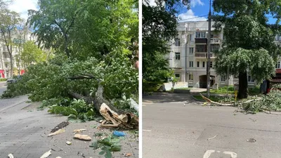 В центре Воронежа на сутки запретят парковку