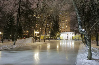 Центральный парк Новосибирска