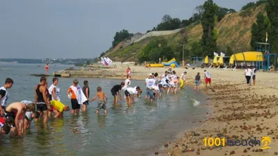 Центральный пляж Таганрога (Taganrog Central Beach)