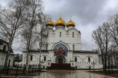 Церковь Ильи Пророка, Ярославль - Tripadvisor