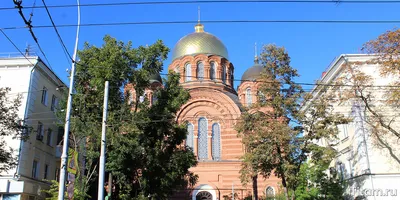 Секреты главного храма Кубани: гробы в стенах, самолеты и семь пудов  ценностей - KrasnodarMedia.ru