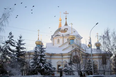 Вознесенский кафедральный собор - Мэрия Новосибирска