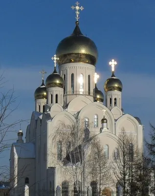 Патриарший визит в Новосибирскую митрополию. Освящение верхнего храма  Троице-Владимирского собора г. Новосибирска. Божественная литургия /  Фотоальбомы / Патриархия.ru