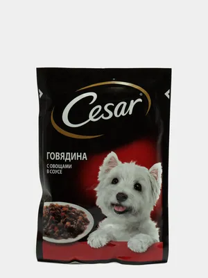 Корм для собак Cesar 100г с ягненком и овощами пауч - купить в интернет  магазине Зоозавр в Москве и России, отзывы, цена, фото