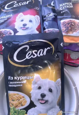 Влажный корм Cesar для взрослых собак, с говядиной и овощами в соусе, 28  штук по 85 г купить по цене 937 ₽ в интернет-магазине KazanExpress