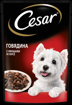 Влажных корм для собак CESAR, два вкуса, желе и ломтики в соусе, (набор 28  шт) пауч в mirkorma.ru