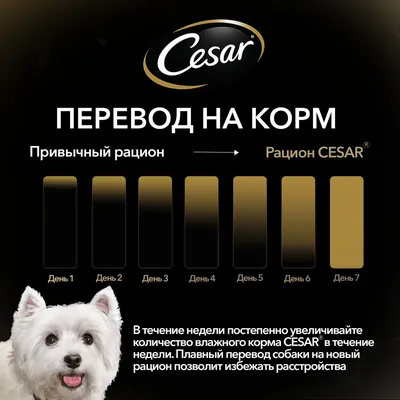 Корм для собак \"Cesar\" Ягненок с овощами, влажный, 85 г