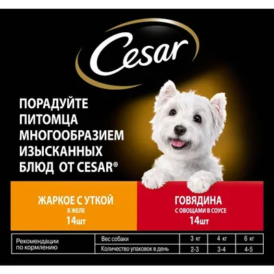 Корм для взрослых собак Cesar (Цезарь) 85г говядина-овощи в соусе купить с  доставкой на дом в интернет-магазине Торнадо