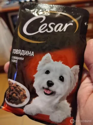 Цезарь (Cesar) ягненок в сырном соусе