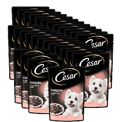 Влажных корм для собак CESAR, два вкуса, желе и ломтики в соусе, (набор  28шт) пауч - интернет-магазин «Pet Team»