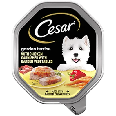 Собачий корм Cesar (150 г) цена | kaup24.ee