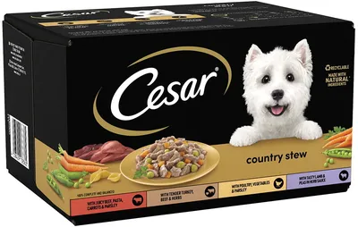 Корм для собак Cesar, 100 г, Бефстроганов/говядина/сыр/укроп - Интернет  зоомагазин MyPet-Online.ru