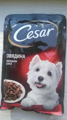 Корм для собак Cesar 100г курица с зелеными овощами для собак купить за 42  руб. с доставкой на дом в интернет-магазине «Palladi» в Южно-Сахалинске