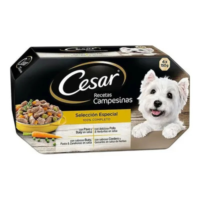 Корм для собак Cesar 150г рагу из говядины и индейки купить по цене 127.5 ₽  с доставкой в Москве и России, отзывы, фото