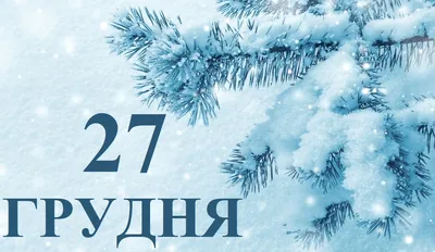 ГДЗ номер 27 алгебра 9 класс Алимов, Колягин