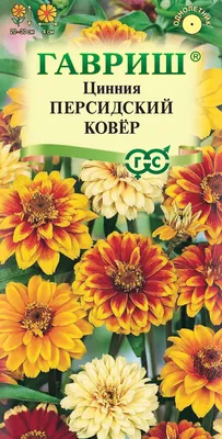 ✓ Семена Цинния Персидский ковер, 0,3г, Гавриш, Цветочная коллекция по цене  30 руб. ◈ Большой выбор ◈ Купить по всей России ✓ Интернет-магазин Гавриш ☎  8-495-902-77-18