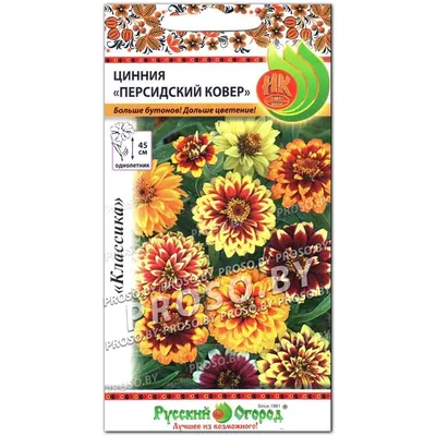 Мексиканская цинния, семена персидского ковра - Zinnia haageana - 600 семян  - Zinnia mexicana, syn. Z. haageana – Garden Seeds Market | Бесплатная  доставка