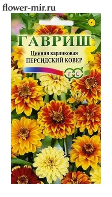 Цинния Персидский Ковер узколистная 0,3 гр. купить оптом в Томске по цене  11,58 руб.