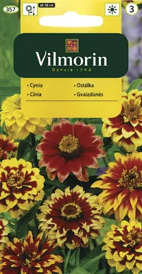 Цинния изящная Королевская. Лучшая цена в Интернет-магазине МОЯ ДАЧА.