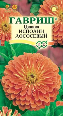 Цинния Персидский ковер 0,2 гр - купить в интернет-магазине «Агросемфонд» с  доставкой Почтой России