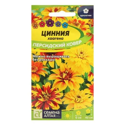 цветов Цинния \"Персидский Ковер\", хаагена, Сем. Алт, ц/п, 0,3 г - купить по  выгодным ценам в интернет-магазине OZON (516416905)