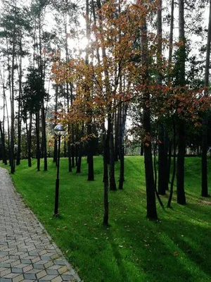 Загородный комплекс Циолковский, Самара | отзывы