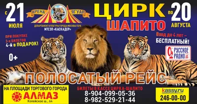 Цирк: последние новости на сегодня, самые свежие сведения | 74.ru - новости  Челябинска