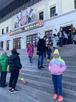 Московский цирк Никулина на Цветном бульваре: фото, цены, отзывы, как  добраться