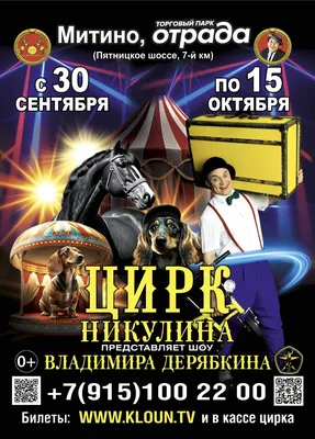 Цирк Никулина – план зрительного зала | Агентство Волна-билеты