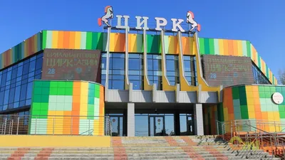 Омский цирк подал в суд на местный сайт и приехавших конкурентов |  Последние Новости Омска и Омской области | БК55