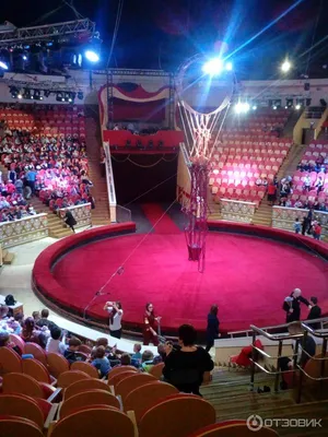 Omsk State Circus editorial photography. Image of horse - 100464917
