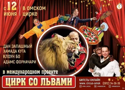 Грандиозное шоу всемирно известного «Цирка Филатовых» в Омске | ДОСУГ | АиФ  Омск