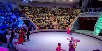 Рязанский государственный цирк открылся после реконструкции – 14.09.2018