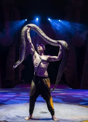 Рязанский цирк отмечает полувековой юбилей | Рязанские ведомости
