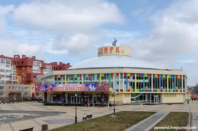 Отзыв о Программа \"Цирк зажигает огни\" в Рязанском государственном цирке  (Россия, Рязань) | Все очень понравилось